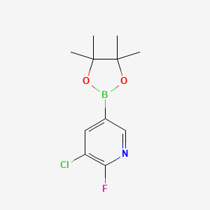 molecular formula C11H14BClFNO2 B572685 3-Chloro-2-fluoro-5-(4,4,5,5-tetramethyl-1,3,2-dioxaborolan-2-yl)pyridine CAS No. 1220219-73-7