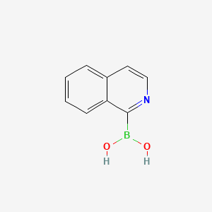 molecular formula C9H8BNO2 B572703 Isoquinolin-1-ylboronic acid CAS No. 1219080-58-6