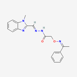molecular formula C19H19N5O2 B5727097 N-[(E)-(1-methylbenzimidazol-2-yl)methylideneamino]-2-[(Z)-1-phenylethylideneamino]oxyacetamide 