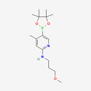 molecular formula C16H27BN2O3 B572743 n-(3-Methoxypropyl)-4-methyl-5-(4,4,5,5-tetramethyl-1,3,2-dioxaborolan-2-yl)pyridin-2-amine CAS No. 1352741-90-2