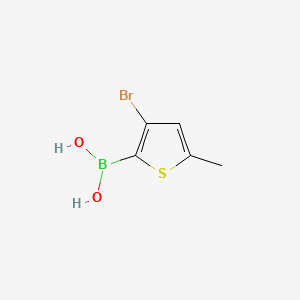 molecular formula C5H6BBrO2S B572802 3-Bromo-5-methylthiophene-2-boronic acid CAS No. 1351859-39-6