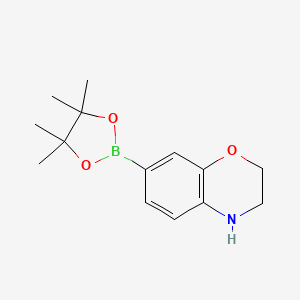 molecular formula C14H20BNO3 B572849 7-(4,4,5,5-Tetramethyl-1,3,2-dioxaborolan-2-yl)-3,4-dihydro-2H-benzo[b][1,4]oxazine CAS No. 1361110-64-6