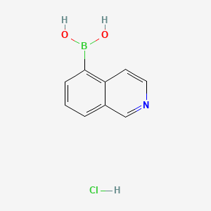 molecular formula C9H9BClNO2 B572867 Isoquinolin-5-ylboronic acid hydrochloride CAS No. 1256345-46-6