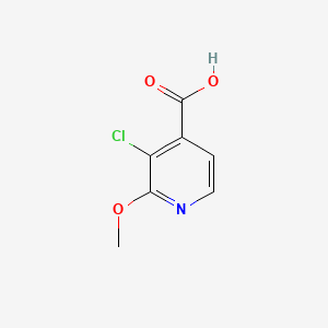 molecular formula C7H6ClNO3 B572869 3-氯-2-甲氧基异烟酸 CAS No. 1211584-06-3