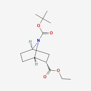 molecular formula C14H23NO4 B572875 (1S,2S,4R)-7-tert-Butyl 2-ethyl 7-azabicyclo[2.2.1]heptane-2,7-dicarboxylate CAS No. 1260981-47-2