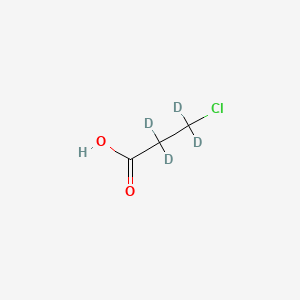 molecular formula C3H5ClO2 B572913 3-Chloro-2,2,3,3-tetradeuteriopropanoic acid CAS No. 1219802-17-1