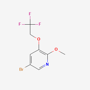 molecular formula C8H7BrF3NO2 B572924 5-Bromo-2-methoxy-3-(2,2,2-trifluoroethoxy)pyridine CAS No. 1241752-45-3