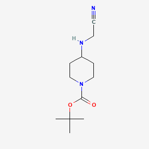 molecular formula C12H21N3O2 B572931 tert-Butyl 4-((cyanomethyl)amino)piperidine-1-carboxylate CAS No. 1224923-48-1