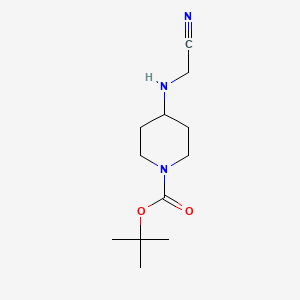 molecular formula C12H21N3O2 B572931 Tert-butyl 4-(cyanomethylamino)piperidine-1-carboxylate CAS No. 1224923-48-1