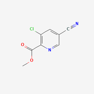 molecular formula C8H5ClN2O2 B572934 Methyl 3-chloro-5-cyanopyridine-2-carboxylate CAS No. 1374651-85-0
