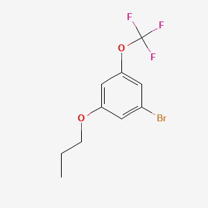 molecular formula C10H10BrF3O2 B572952 1-Bromo-3-propoxy-5-(trifluoromethoxy)benzene CAS No. 1221793-65-2