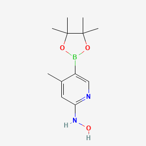 molecular formula C12H19BN2O3 B572994 n-(4-Methyl-5-(4,4,5,5-tetramethyl-1,3,2-dioxaborolan-2-yl)pyridin-2-yl)hydroxylamine CAS No. 1353718-43-0