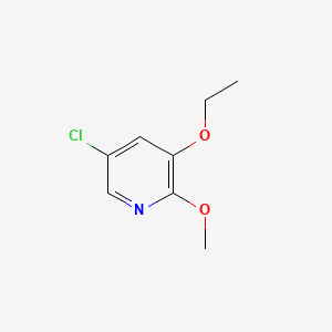 molecular formula C8H10ClNO2 B573001 5-Chloro-3-ethoxy-2-methoxypyridine CAS No. 1221793-67-4