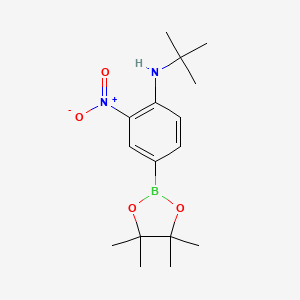 molecular formula C16H25BN2O4 B573058 N-(tert-Butyl)-2-nitro-4-(4,4,5,5-tetramethyl-1,3,2-dioxaborolan-2-yl)aniline CAS No. 1218791-23-1