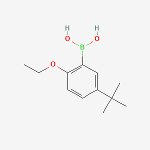 molecular formula C12H19BO3 B573155 5-Tert-butyl-2-ethoxyphenylboronic acid CAS No. 1217501-13-7