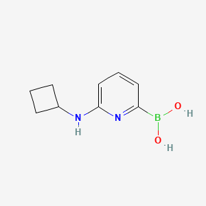 molecular formula C9H13BN2O2 B573176 (6-(Cyclobutylamino)pyridin-2-yl)boronic acid CAS No. 1309981-35-8