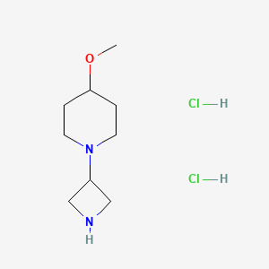 molecular formula C9H18N2O B573253 1-(氮杂环丁-3-基)-4-甲氧基哌啶二盐酸盐 CAS No. 178311-60-9