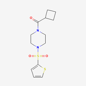 molecular formula C13H18N2O3S2 B5736199 CYCLOBUTYL[4-(2-THIENYLSULFONYL)PIPERAZINO]METHANONE 