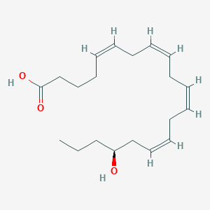 molecular formula C20H32O3 B573865 17(S)-Hete CAS No. 183509-25-3