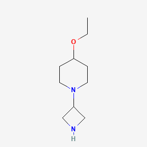 molecular formula C10H20N2O B574024 Piperidine, 1-(3-azetidinyl)-4-ethoxy- CAS No. 178311-62-1