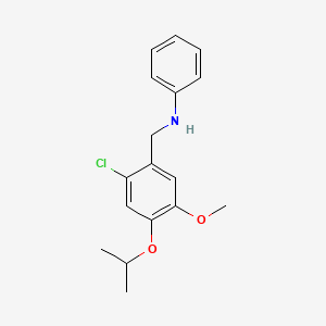 molecular formula C17H20ClNO2 B5742090 N-(2-Chloro-4-isopropoxy-5-methoxybenzyl)-N-phenylamine 