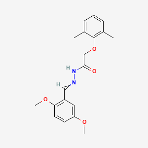 molecular formula C19H22N2O4 B5743395 N'-(2,5-dimethoxybenzylidene)-2-(2,6-dimethylphenoxy)acetohydrazide 