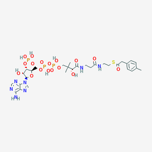 molecular formula C30H44N7O17P3S B057437 4-Tolylacetyl-coenzyme A CAS No. 124924-92-1