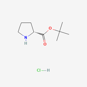 molecular formula C9H18ClNO2 B574584 (R)-tert-Butyl pyrrolidine-2-carboxylate hydrochloride CAS No. 184719-80-0