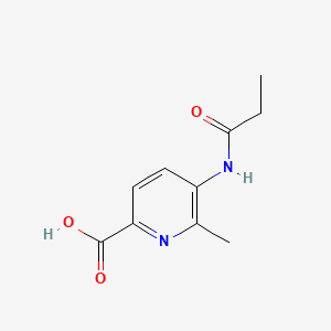 molecular formula C10H12N2O3 B575090 6-Methyl-5-propanamidopyridine-2-carboxylic acid CAS No. 167626-95-1