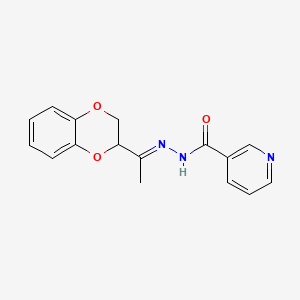 molecular formula C16H15N3O3 B5750989 N-[(E)-1-(2,3-dihydro-1,4-benzodioxin-3-yl)ethylideneamino]pyridine-3-carboxamide 