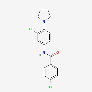 molecular formula C17H16Cl2N2O B5753282 4-chloro-N-[3-chloro-4-(pyrrolidin-1-yl)phenyl]benzamide 