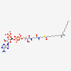 molecular formula C39H64Li4N7O17P3S B575483 Oleoyl coenzyme A lithium salt CAS No. 188824-37-5
