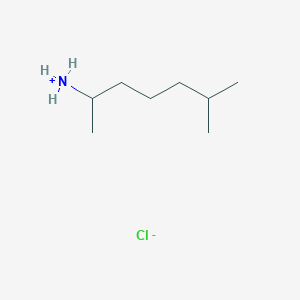 molecular formula C8H19N B057570 Octodrine CAS No. 5984-59-8