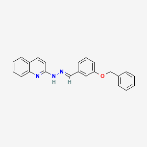 molecular formula C23H19N3O B5758089 N-[(E)-(3-phenylmethoxyphenyl)methylideneamino]quinolin-2-amine 