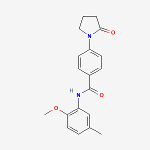 molecular formula C19H20N2O3 B5758384 N-(2-methoxy-5-methylphenyl)-4-(2-oxopyrrolidin-1-yl)benzamide 