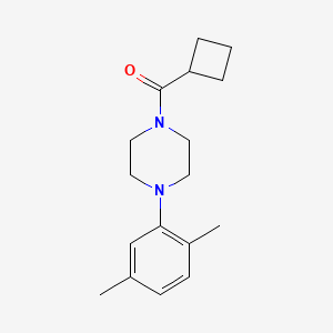molecular formula C17H24N2O B5761133 CYCLOBUTYL[4-(2,5-DIMETHYLPHENYL)PIPERAZINO]METHANONE 