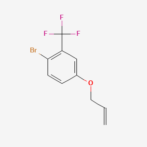 molecular formula C10H8BrF3O B576353 4-(Allyloxy)-1-bromo-2-(trifluoromethyl)benzene CAS No. 1208-41-9