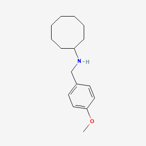 molecular formula C16H25NO B5767525 N-[(4-methoxyphenyl)methyl]cyclooctanamine 