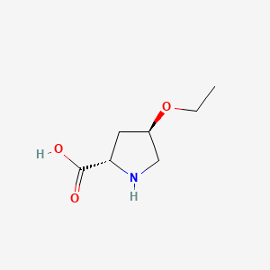 molecular formula C7H13NO3 B576807 (2S,4R)-4-乙氧基吡咯烷-2-羧酸 CAS No. 13500-55-5