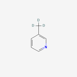 B576809 3-Methyl-D3-pyridine CAS No. 10259-17-3