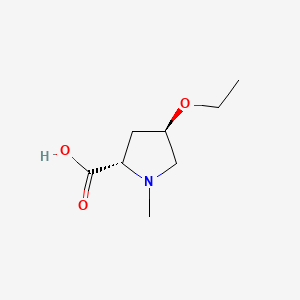 molecular formula C8H15NO3 B576837 (2S,4R)-4-Ethoxy-1-methylpyrrolidine-2-carboxylic acid CAS No. 13500-58-8