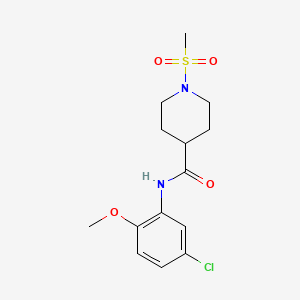 molecular formula C14H19ClN2O4S B5768721 N-(5-chloro-2-methoxyphenyl)-1-(methylsulfonyl)-4-piperidinecarboxamide 