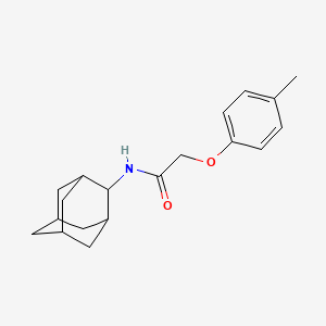 molecular formula C19H25NO2 B5769655 N-(2-adamantyl)-2-(4-methylphenoxy)acetamide 