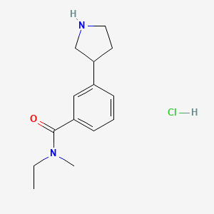 molecular formula C14H21ClN2O B576970 N-ethyl-N-methyl-3-(pyrrolidin-3-yl)benzamide hydrochloride CAS No. 12237-27-3