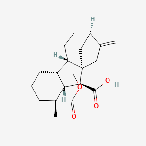 GA15 (closed lactone form)