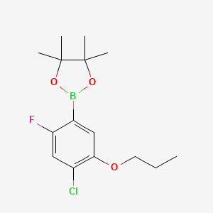 2-(4-Chloro-2-fluoro-5-propoxyphenyl)-4,4,5,5-tetramethyl-1,3,2-dioxaborolane