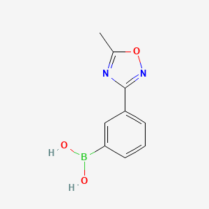 molecular formula C9H9BN2O3 B577439 3-(5-METHYL-1,2,4-OXADIAZOL-3-YL)PHENYLBORONIC ACID CAS No. 1217501-31-9