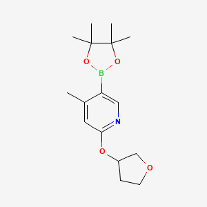 4-Methyl-2-((tetrahydrofuran-3-yl)oxy)-5-(4,4,5,5-tetramethyl-1,3,2-dioxaborolan-2-yl)pyridine
