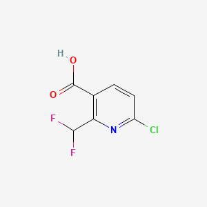 molecular formula C7H4ClF2NO2 B577515 6-Chloro-2-(difluoromethyl)nicotinic acid CAS No. 1256794-35-0