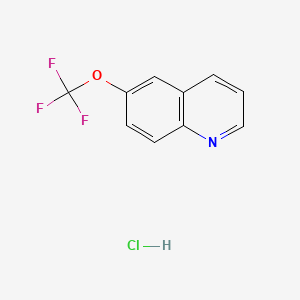 molecular formula C10H7ClF3NO B577523 6-(三氟甲氧基)喹啉盐酸 CAS No. 1215206-34-0